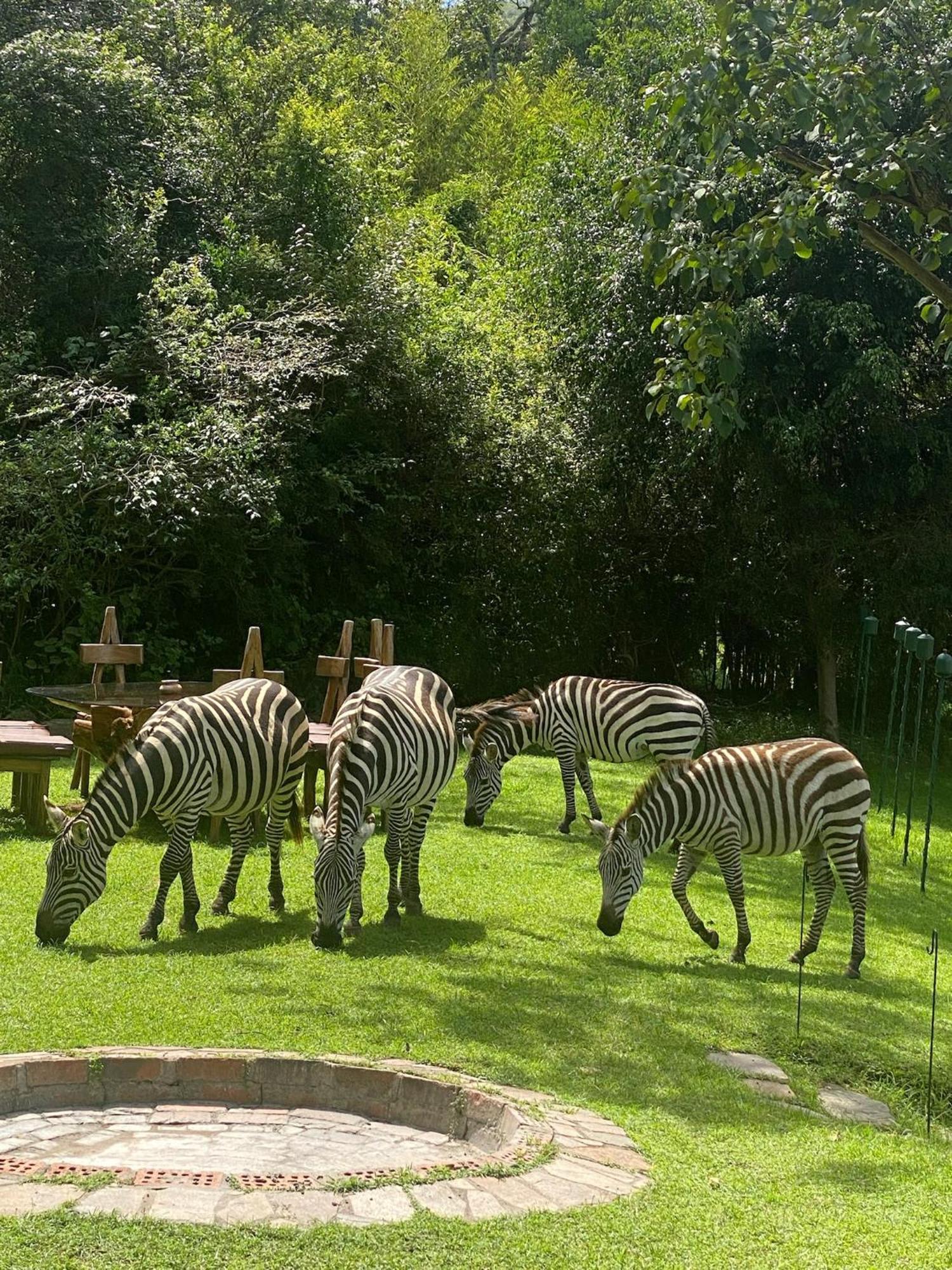 Aitong Mara River Camp מראה חיצוני תמונה