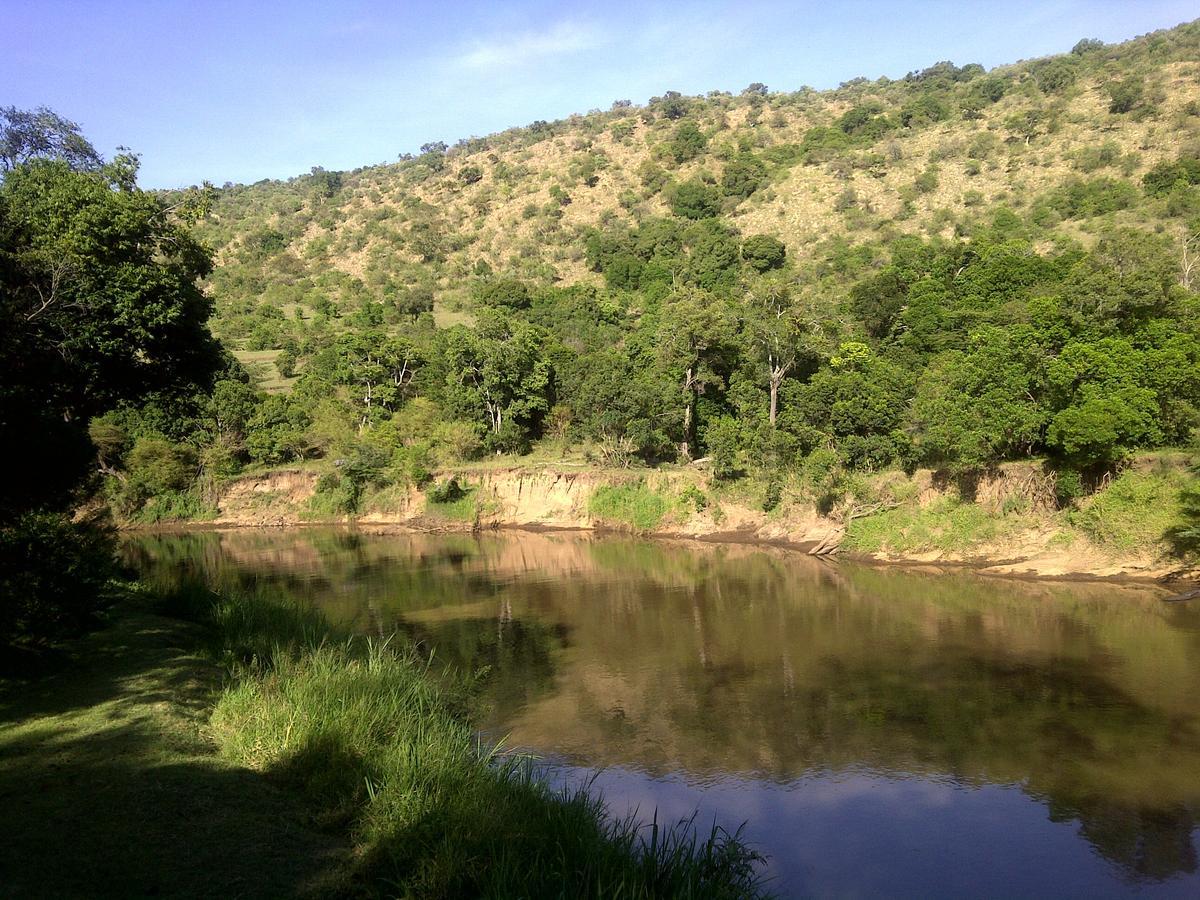 Aitong Mara River Camp מראה חיצוני תמונה