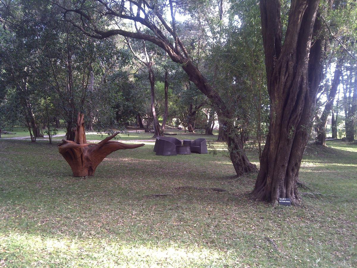 Aitong Mara River Camp מראה חיצוני תמונה